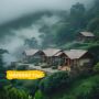 wayanad Tour Packages from Travelsmart 24 wayanad Tour Packages from Travelsmart 24