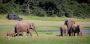 Kerala Holiday Packages | Affordable Tours with Travizia