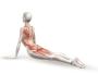 Neck Back Shoulder Yoga Classes – Relieve Tension Fast