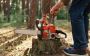 Same-Day Stump Grinding Service Available in Gold Coast 