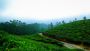 Select Tripper Trails For The Best Kashmir Tour Packages! 