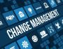 Adoption and Change Management | TrnDigital