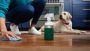 How to Choose Pet Safe Cleaning Products