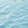 Landscape Theme Fabric for Sale 
