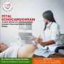 Get the Best Fetal Echo Test in Gurgaon | Expert Fetal Echoc