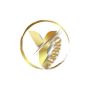 Discover Premium Hair Products and Beauty Accessories 