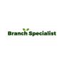 Professional Tree Surgeon Services for All Your Needs 