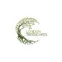 Professional Tree Surgery in South London |Safe Tree Felling