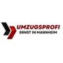 MOVING COMPANY MANNHEIM