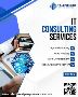 Business Consultant Services Providers in India