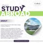 Study Abroad Consultants