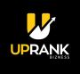 Business Consultanting