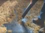 SparklePaws: Premium Animal Waste Remediation Services