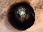 Expert Carpenter Bee Control: Reliable & Effective Services!