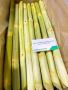 Frozen Sugarcane Roc 16 Viet Goods Trade