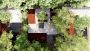 Eco-Friendly Forest Villas & Sustainable Villas in Hyderabad