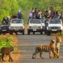 Excursion Around Sariska Tiger Reserve Excursion Around Sariska Tiger Reserve