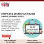Online BLIS Course: BLIS Course Online | Online Vidya Online BLIS Course: BLIS Course Online | Online Vidya