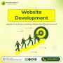 Professional Website Design and Development Service in Washi