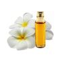 High Quality Champaca Oil for Sale