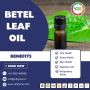 Looking for premium-quality Betel Leaf Oil?
