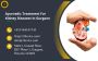 Effective Ayurvedic Treatments for Kidney Diseases in Gurgao
