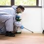 Trusted Pest Control Services in Lebanon - Velvet Services