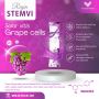 Premium Wellness Supplement Regen Stemvi – Buy Online