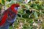 Anti Bird Net Manufacturers