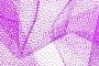 Nylon Net Manufacturers