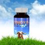 Boost Your Vitality with Sandy RX – Natural Testosterone Boo