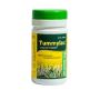 Ayurvedic Medicine for Constipation(कब्ज) - virnampharma.com