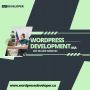 Your Go-To Custom WordPress Developers in South Dakota