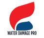 Water Damage pro Water Damage pro