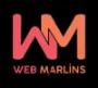 SEO Agency in Delhi | Search Engine Optimization Services - 