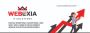 Weboxia - Best Web Development Company in Kannur