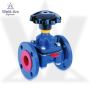 Saunders Diaphragm Valve Supplier in India