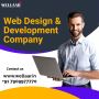 The Best Software Development Company In Indore | Wellaar