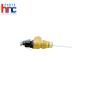 Lochinvar & A.O. Smith 100110719 Temperature & Pressure Reli