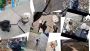 Best Dog walking Service in Toronto