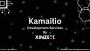 Kamailio Solution Development Company – Xinzex