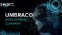 Custom Umbraco Development Services to Build Scalable Websit