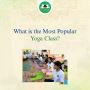 What is the Most Popular Yoga Class?