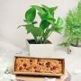Christmas Gifts To Bangalore Online