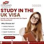 Study In The UK Visa – Expert Help From Zealand Immigration 