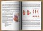 The Home Doctor - Practical Medicine for Every Household