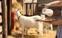 Is Raw Goat Milk Really Good for Your Health?