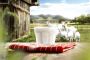 Is Goat Milk Healthier Than Cow Milk?