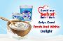 Best Curd in Delhi Arvind Dairy