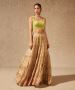 Checkout Designer Chamee and Palak Collections at Muzai